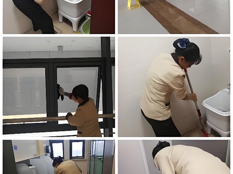 杭州月嫂服务市场现状与发展趋势